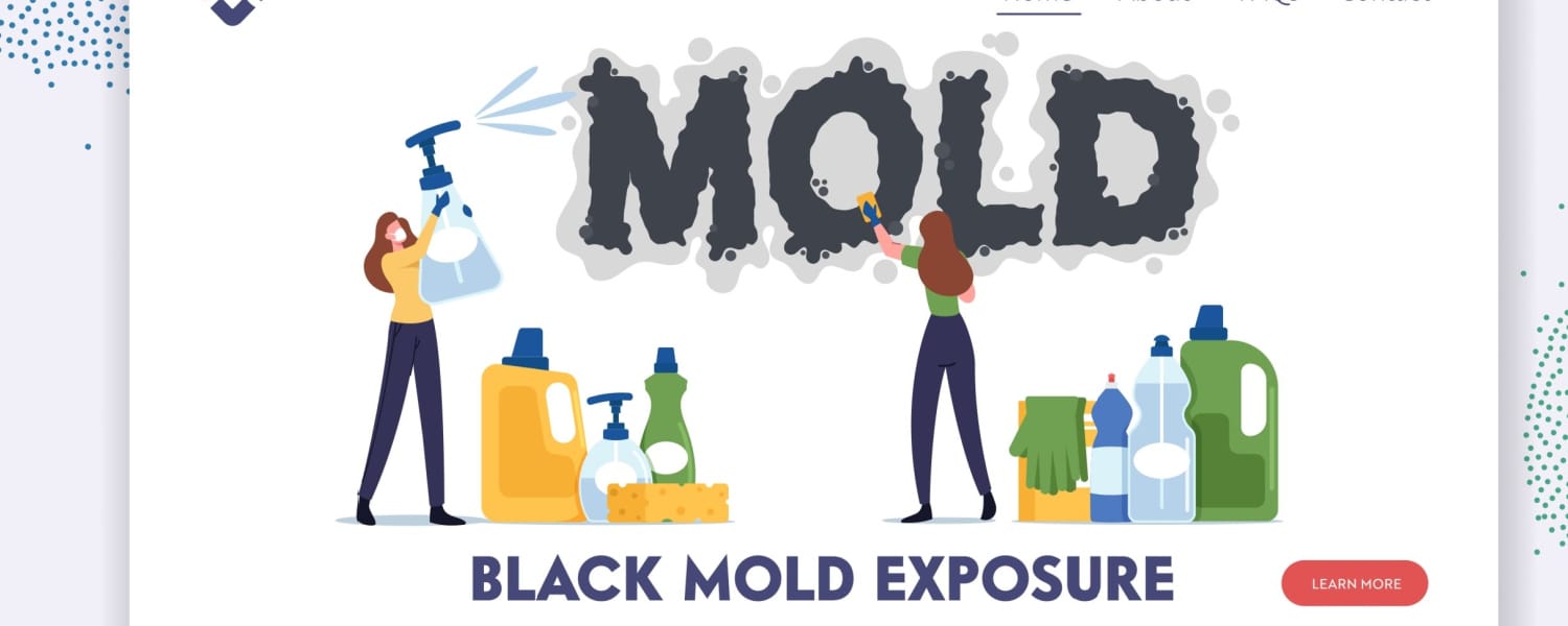 Mold Home Inspector Valley City ND